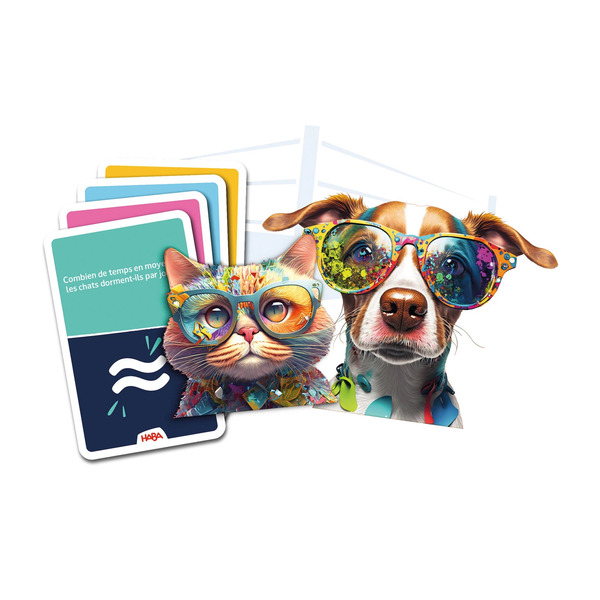 Team Quiz Challenge – Chat vs Chien