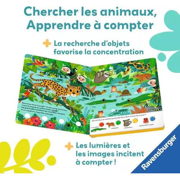 Livre Cherche et Brille : Dans la jungle - Play +
