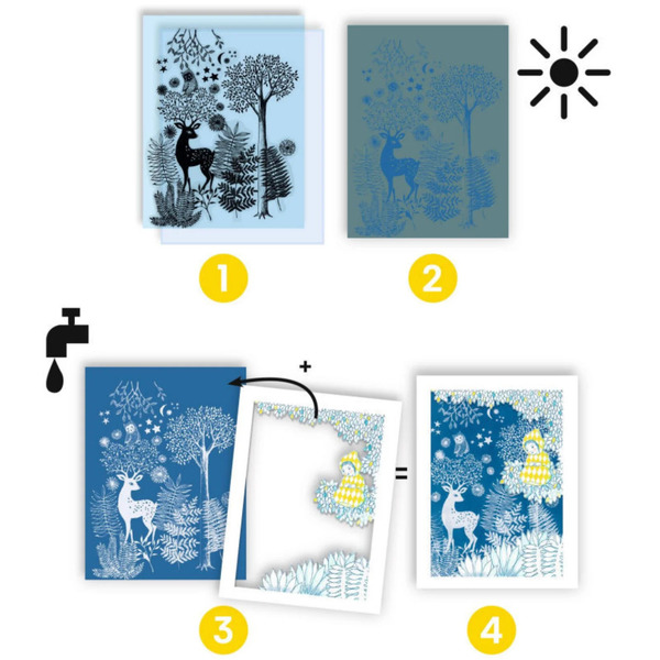 Cyanotype Au clair de la lune