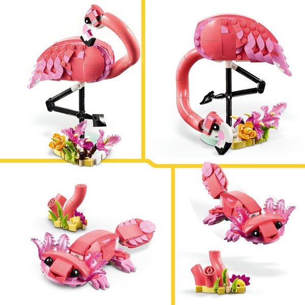 31170 - LEGO® Creator - Animaux sauvages : le flamant rose