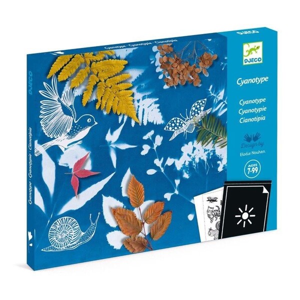 Kit de démarrage Cyanotype