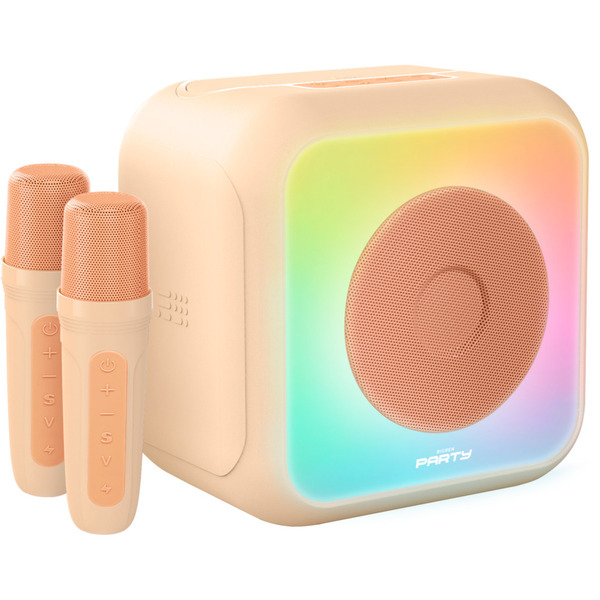 Enceinte karaoké avec 2 micros sans fil