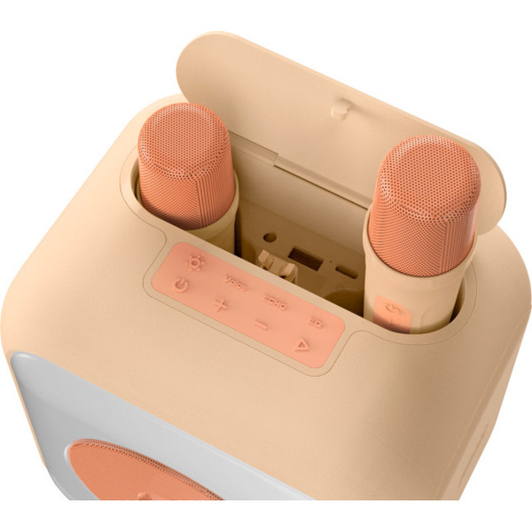 Enceinte karaoké avec 2 micros sans fil