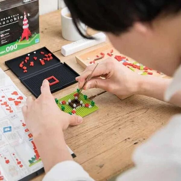 Nanoblock Tweezers