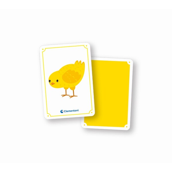 Les couleurs - Educartes
