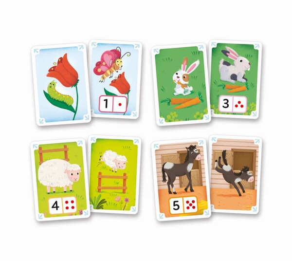 Les Animaux - Educartes