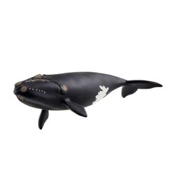 Figurine Baleine de l'Atlantique