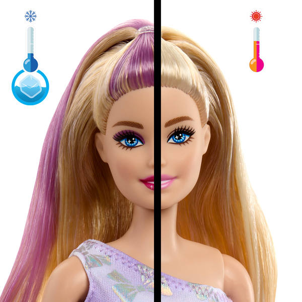 Coffret Barbie Fête d Anniversaire - Malibu