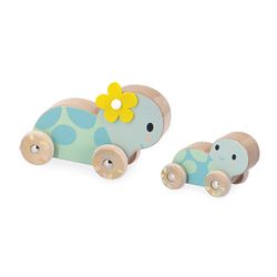 Set de 2 tortues