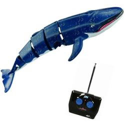 Baleine bleue radiocommandée