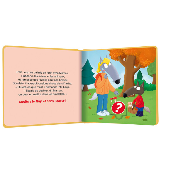 Mon livre des odeurs et des couleurs - P tit loup