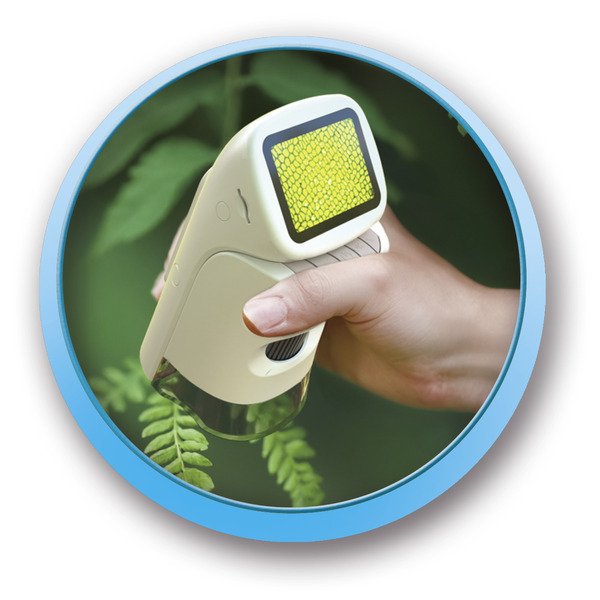 Microscope électronique portable