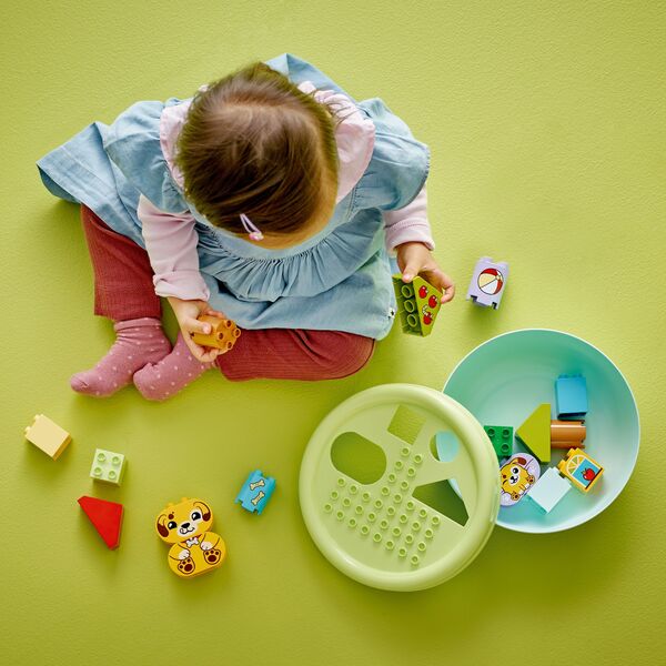 10441 - LEGO® DUPLO® - My First Trieur de Formes : la Niche du Chiot