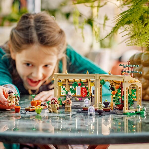 76445 - LEGO® Harry Potter™ Le Château de Poudlard : le Cours de Botanique