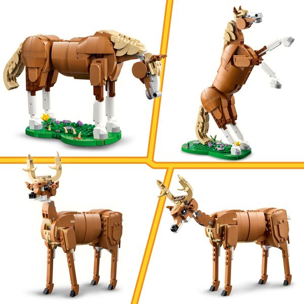31166 - LEGO® Creator - Le beau cheval