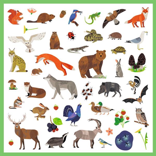 Stickers Faune x160