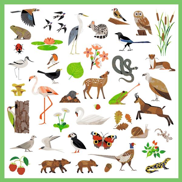 Stickers Faune x160