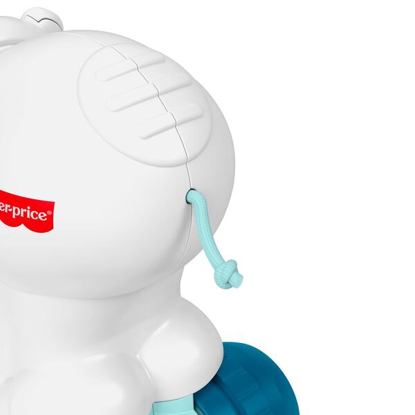 Ours Polaire à pousser