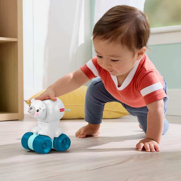 Ours Polaire à pousser