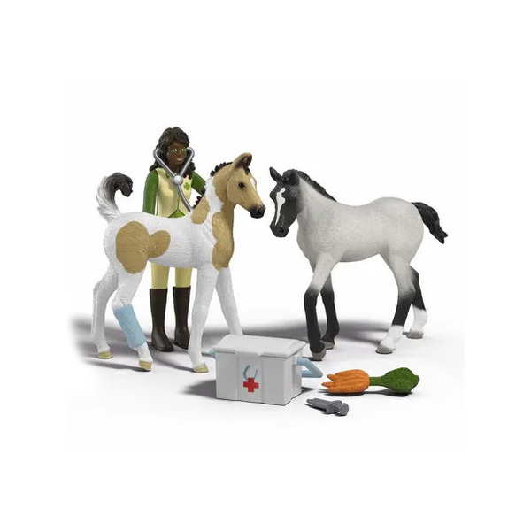 Coffret soins pour les bébés animaux de Sarah