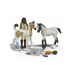 Coffret soins pour les bébés animaux de Sarah