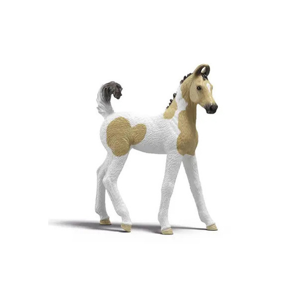 Coffret soins pour les bébés animaux de Sarah