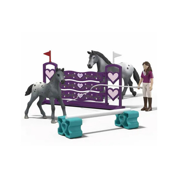 Coffret l’entraînement au tournoi de Lisa - Horse Club