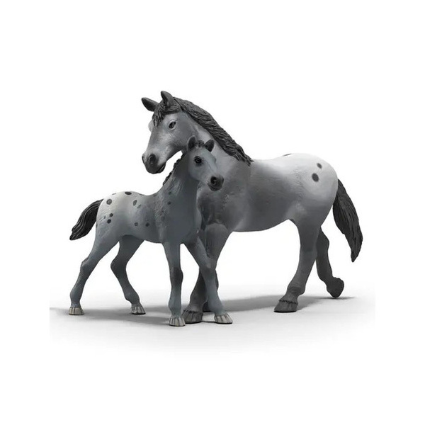 Coffret l’entraînement au tournoi de Lisa - Horse Club