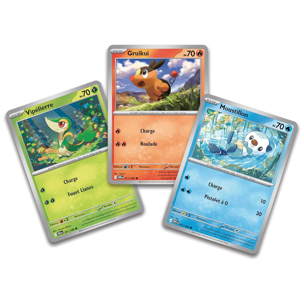 Collection Poster Pokémon Unys - Foudre Noire et Flamme Blanche