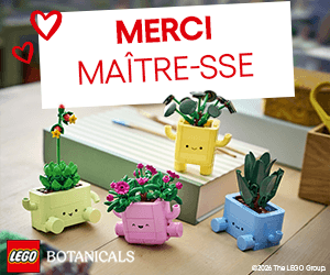 Idées cadeaux maîtresses LEGO