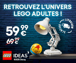 Notre sélection LEGO adultes