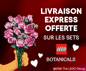 LEGO St Valentin