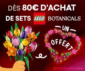 LEGO St Valentin