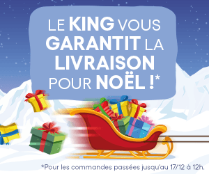 Livraison garantie avant Noël
