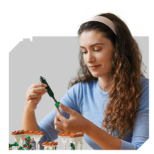 LEGO Adultes