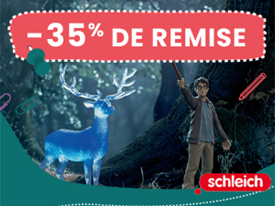 Promotion Harry Potter Schleich