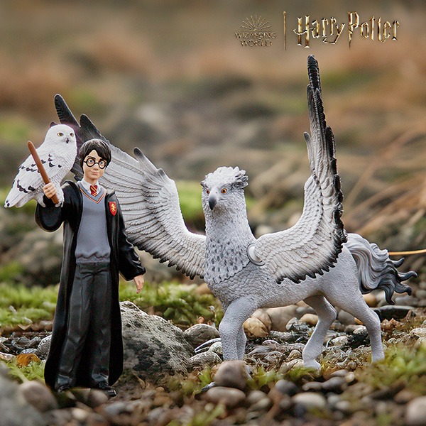 Harry Potter vignette