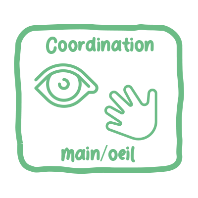 Favorise la coordination main/&oelig;il
