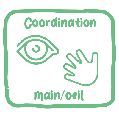 Favorise la coordination main-oeil
