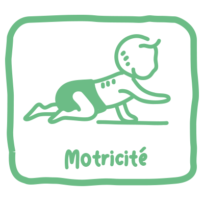 Favorise la motricit&eacute;